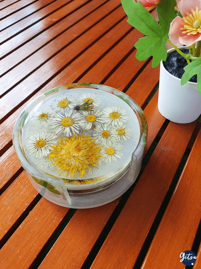 Ensemble de 4 sous-verres et rangement, en pâquerettes et pissenlits