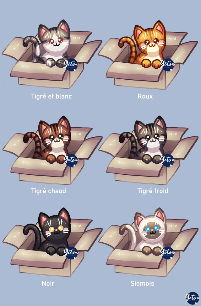 Stickers 12 chats dans des cartons, à choisir