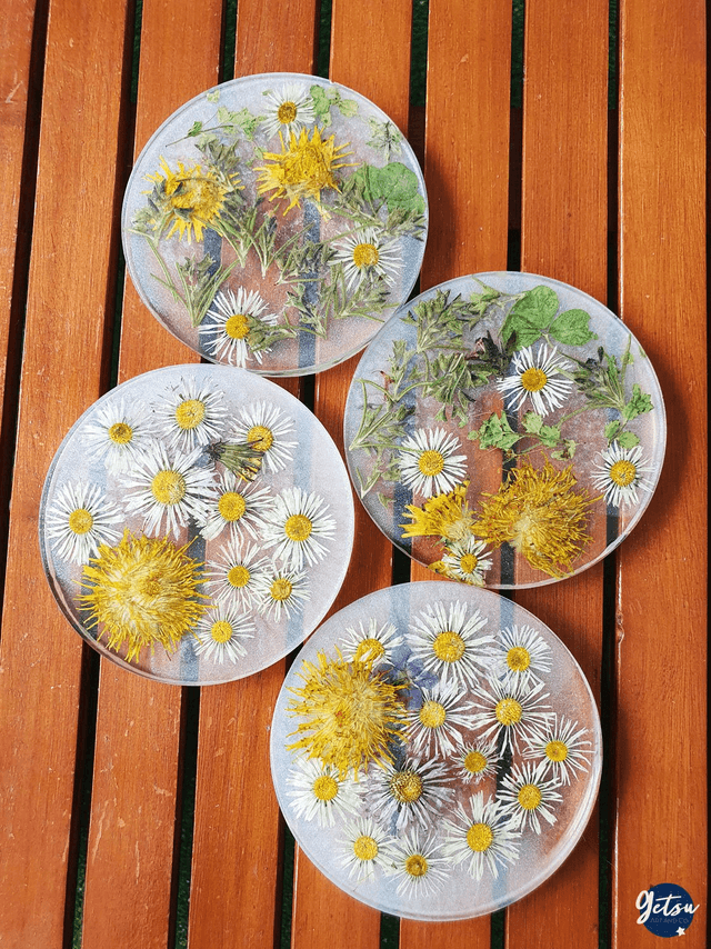 Ensemble de 4 sous-verres et rangement, en pâquerettes et pissenlits