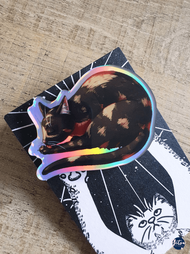 Pin's holographique chat écaille de tortue