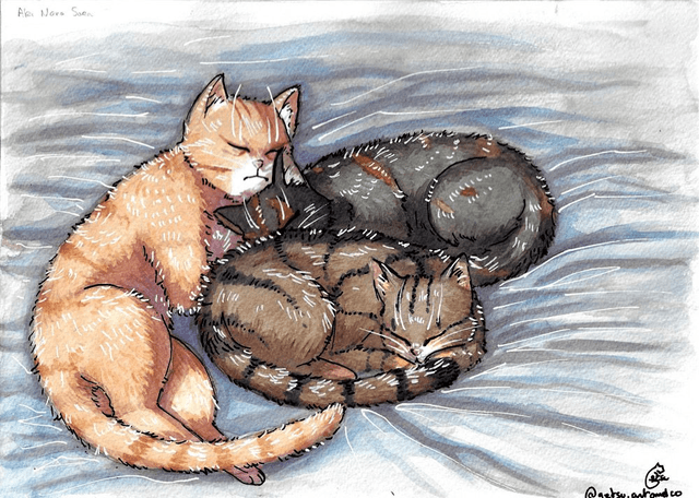 Commande de dessin, 2 chats ou +
