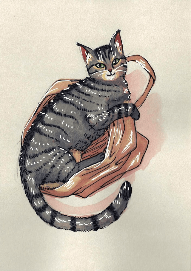 Commande de dessin d'un chat
