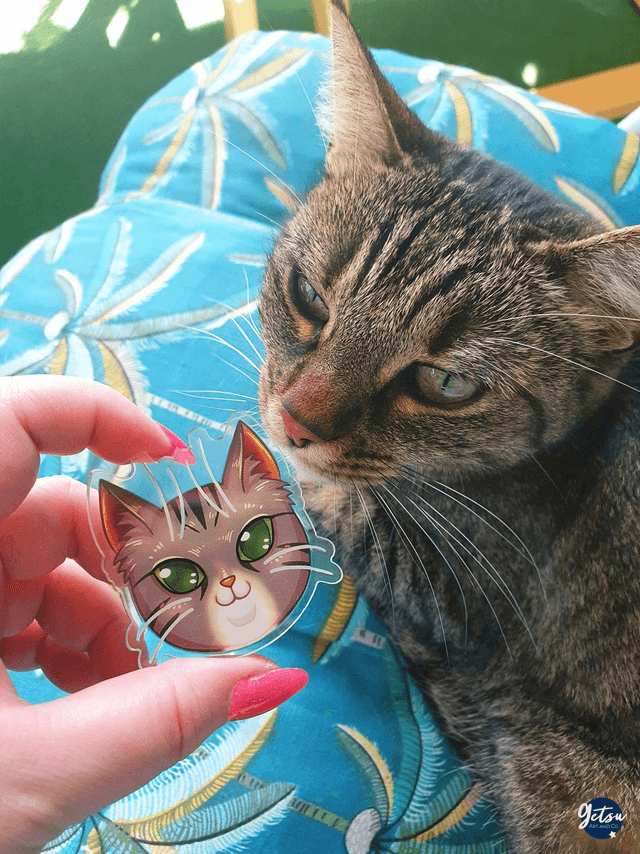 Blindbox - Kawaii Catface serie 1